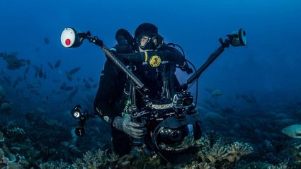 Tahiti Dive Management Videos