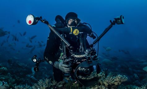 Tahiti Dive Management Vidéos